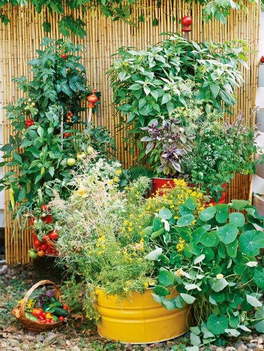 BH&G container garden, Gardening Ideas for your whole family!