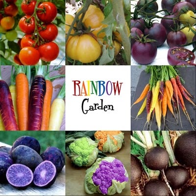 Not Just a Housewife rainbow garden, Gardening Ideas for your whole family!