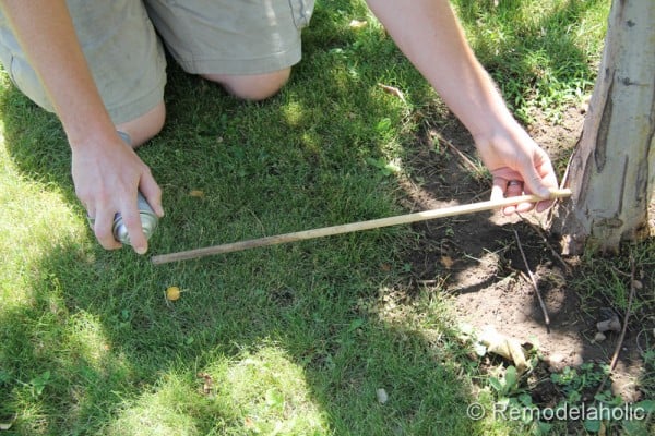 Mulch Weed Control Around Trees