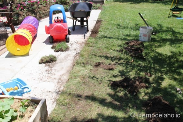 Mulch Weed Control Around Trees-13