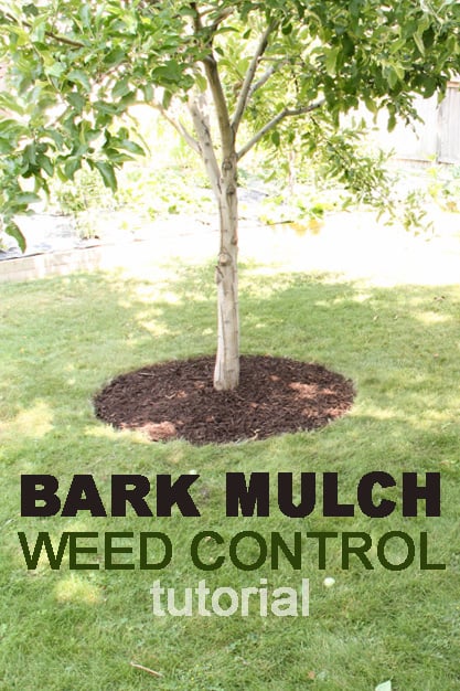 Mulch Weed Control Around Trees