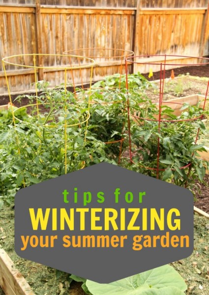Tips-for-Winterizing-Your-Summer-Garden-via-Tipsaholic