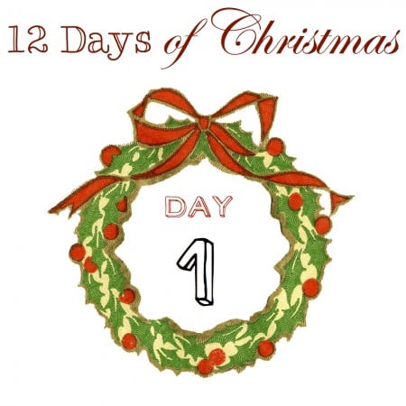 12DaysCOUNTER1