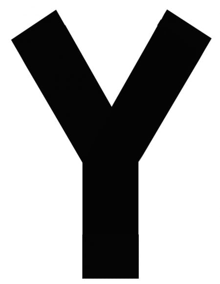 Y