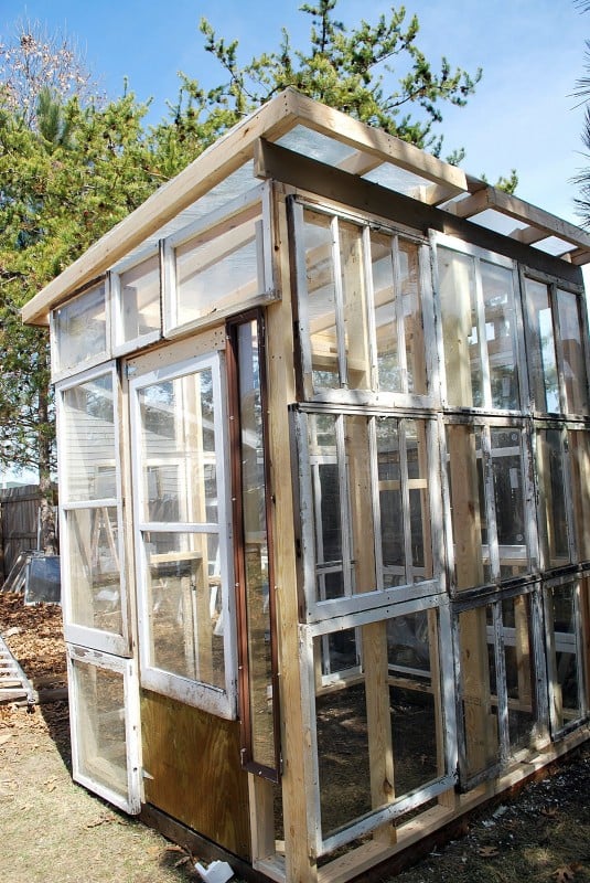 Sparta Savings - greenhouse from old windows - via Remodelaholic